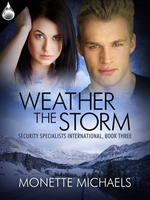 Title details for Weather the Storm by Monette Michaels - Available